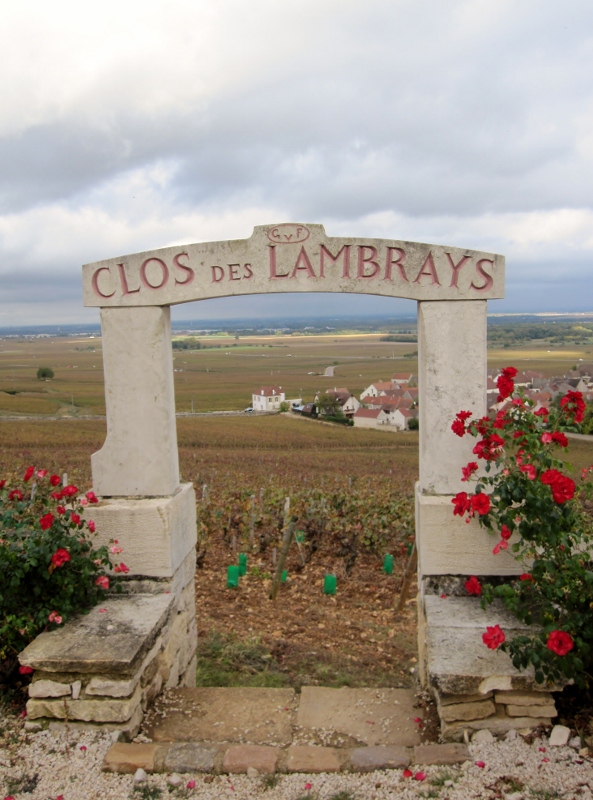 Wine Tours Burgundy- French Wine Explorers