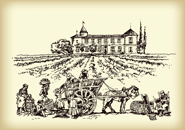 Wine Tours in France