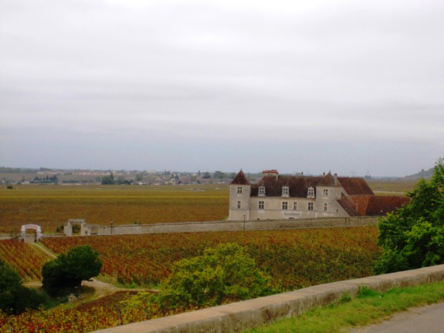 Burgundy Wine Tours-French Wine Explorers