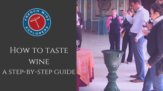 how to taste wine