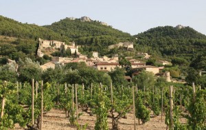 gigondas wines