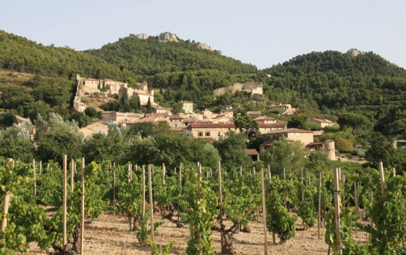 gigondas wines