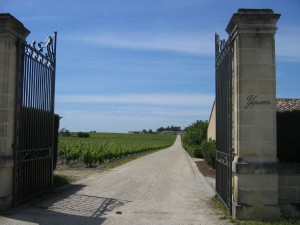 chateau d'yquem export