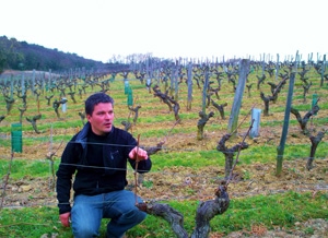 French Wine Explorers- Wine Tours in France