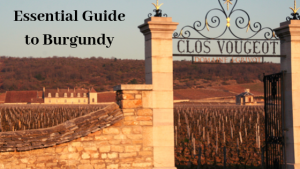 guide to burgundy