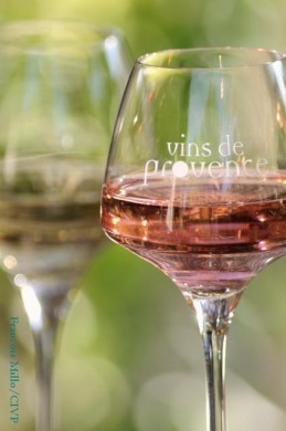 wine tour in provence