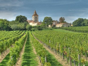 bordeaux wine tours