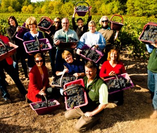 Custom Bordeaux Wine Tours