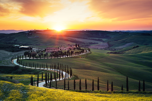 Exclusive Italy Wine Tours