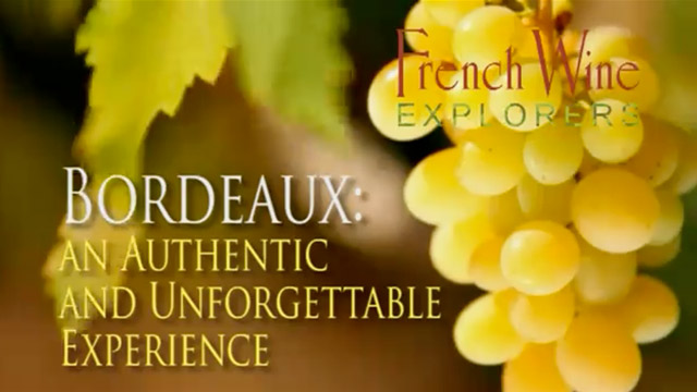 Wine Tours in France: Bordeaux Wine Tours