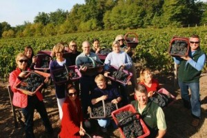 French Wine Explorers