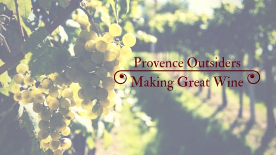 buying a vineyard in provence