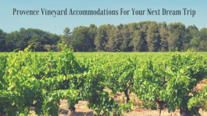 Provence Vineyard accommodations