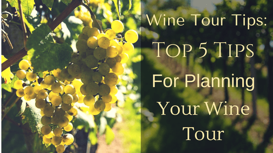 wine tour tips
