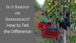 Barolo vs Barbaresco