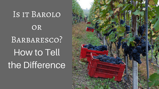 Barolo vs Barbaresco