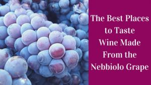 Nebbiolo wines