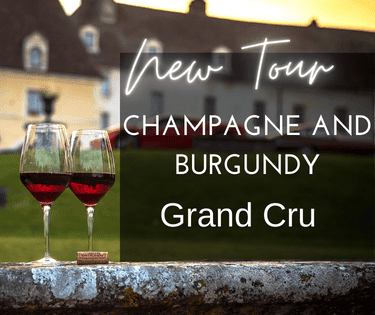 french wine tours bordeaux