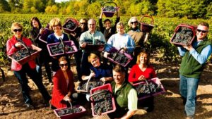 Custom Bordeaux Wine Tours